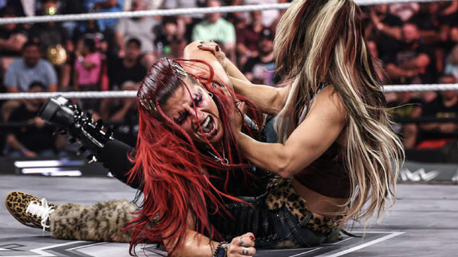 WWE NXT Results 9/22 - 2026 Dusty Rhodes Tag Team Classic Begins, Women's Tag Match 1 3ee163870a340296614b7f1309c3559e30f676874c5e99b3dd114b97b11de7ee