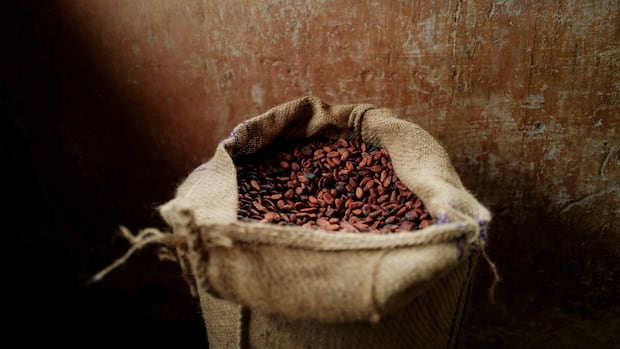 Chocolate faces more climate shocks as study highlights risk of extreme rainfall 1 3ff516e3a6a1b04fedcbd42fb7fcc5bfebcdce9c70307feea5ed80d701cc94ec