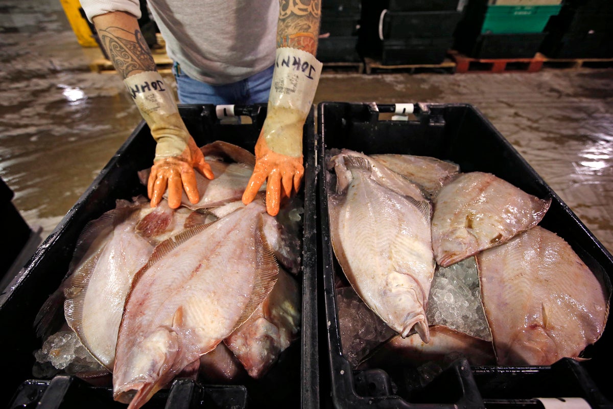 ‘Flat is Back’ campaign hopes to put flounder back on people’s plates 1 4030717c03f8a20802a90b132d1e480321be8c293916f6e7cbd7ca6f73d286d5