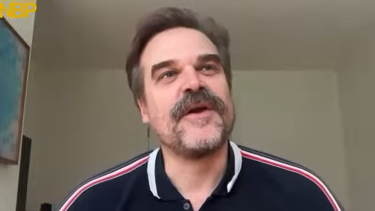 Stranger Things star David Harbour rants about capitalism after showing off infamous $7m Brooklyn brownstone decorated with extortionate French wallpaper 1 40c25dc3b7bb1093107eb96601b0059eab701211b5ef4c7c4c090a1cdc0bddba