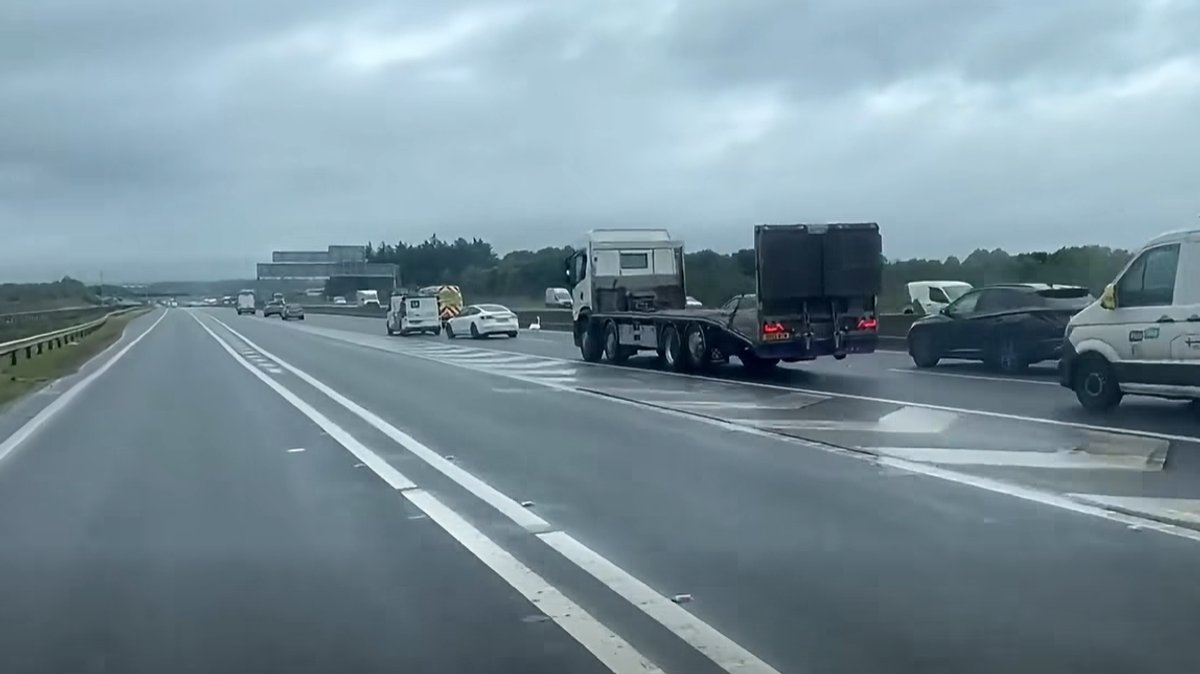 Swan causes M8 motorway chaos near Eurocentral as cars at standstill 1 41dba916ac2f249fb428fc254c95255586bb487ddf5b17c25a94859ad0c640f4