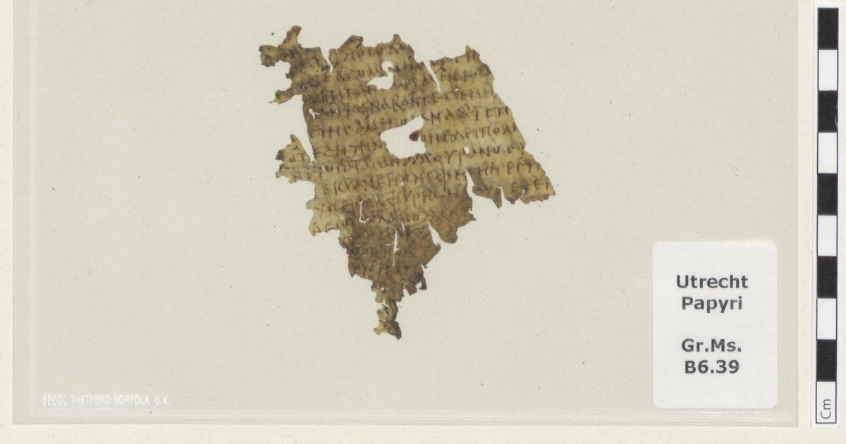 1,700-year-old fragment of "Odyssey" discovered inside library book 1 498b6ec0e40aa3c186a1e72d4a7cf82f24e42a710923521066c01d4d79364678