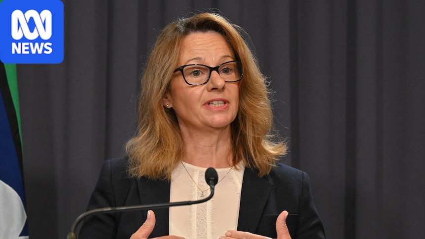 Australia needs AI 'early warning system', cyber security chief says 1 49b6cf1a21df3a1440b82ea9ba8ac9deb7ab3a1d1a3f63b2c5bebcecc1b88a1d
