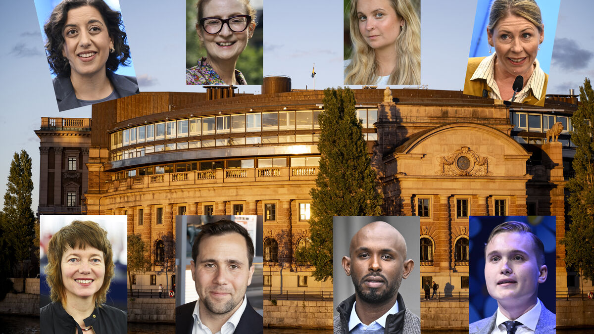New Riksdag has 97 newcomers, with the Left Party fielding the most new MPs 1 4a5417378cac1ae74cf2b2bf85fb4ce3bfe336844b8b60ca3bf73a47785b4711