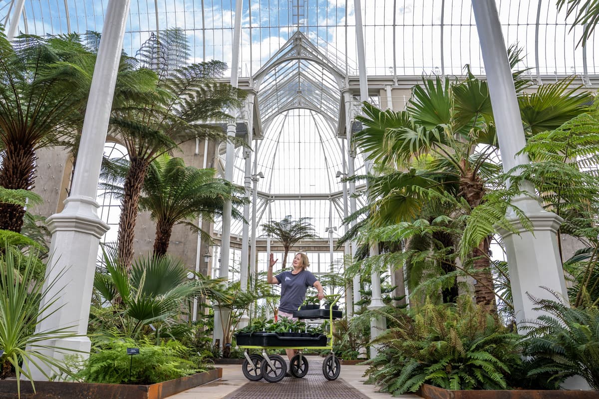 Tickets to visit Victorian Palm Houses on sale after five-year closure 1 52c112c49116b047490bdebb504014bdfafdb58c5b9c3ac6be5c91bd333827c0
