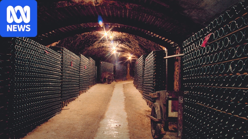Historic winery sold to Victorian company with plans to restart production 1 53d68f062de4048ffb3227d9a0537aea87b6ae8859ba554079401445bfaf5472