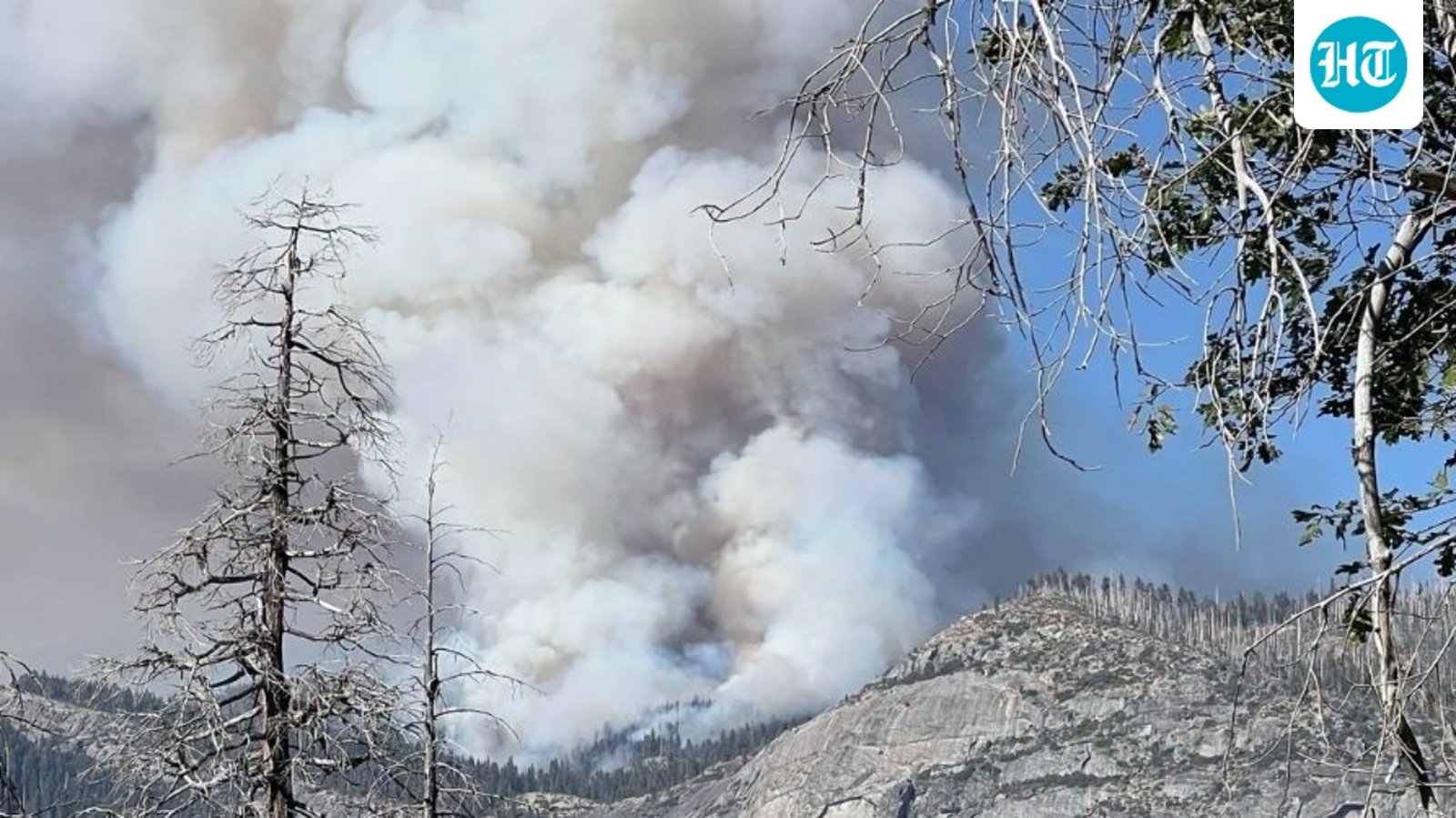 Yosemite National Park wildfire map and evacuation updates: Dome Fire rapidly grows to 100 acres; here's the latest 1 542ac5bbf539521863717a883ca7ef0549dfbd38c1a439d476414fd8198061fb