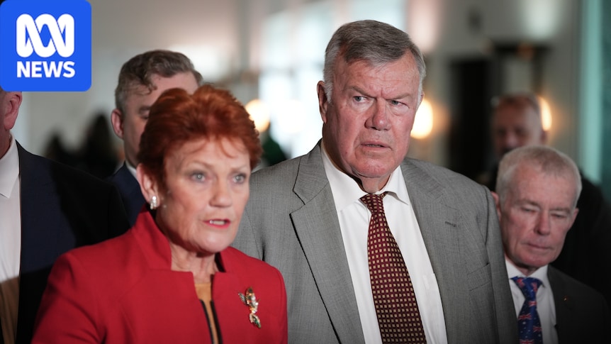 One Nation MP open to slashing family visas 1 56e2da6c3c0a9ee78533c604eaeb4fe9297dad3af06936c24a9de3e2a4747b04