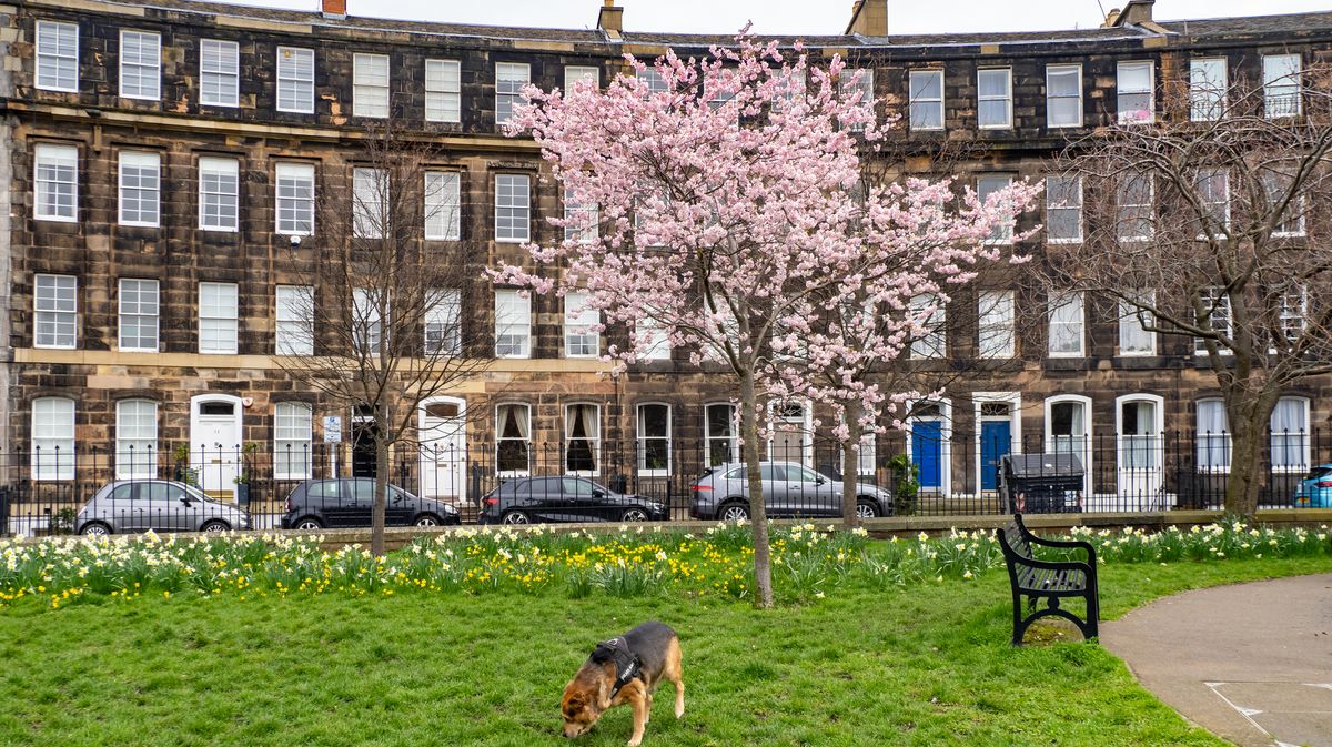 Scots want rich households to pay more council tax under new system that revalues homes 1 5704f8e25739d1d223d98eba113df3554c0c1640ea0b7e73b6a06c989c2da445