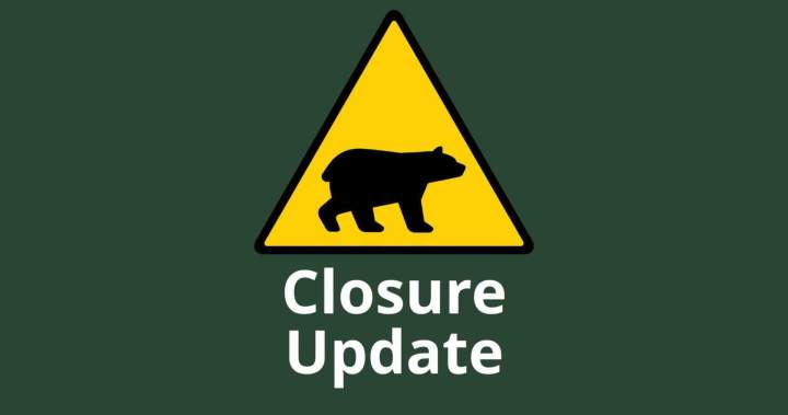 Increased bear activity prompts closures at Bruce Peninsula National Park 1 5b207b206ef41a131b222c3a496ab21a1d3dc4cdfea0588521dad974e328534f