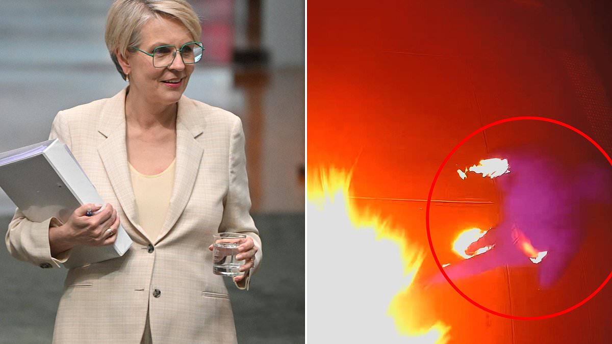 This is an absolute howler from Tanya Plibersek. We shouldn't be surprised: Minister shrieks that plan to cut ciggie tax 'will kill people'. Has she seen the news? PETER VAN ONSELEN 1 5bfa11ffcc9e199557d9e5119dd037c4f5cb16657edc8bd62e0e046e6a4b07ba