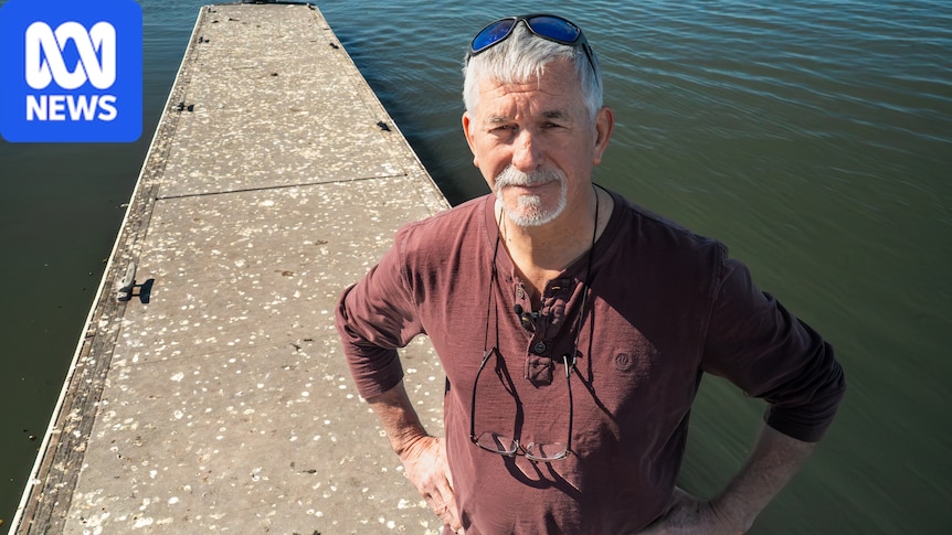 Bird poo concerns in SA town grappling with avian flu 1 5c3214262092da1dfb32785aaf6ee6b8396715864e2268c01db98a8ed573630e