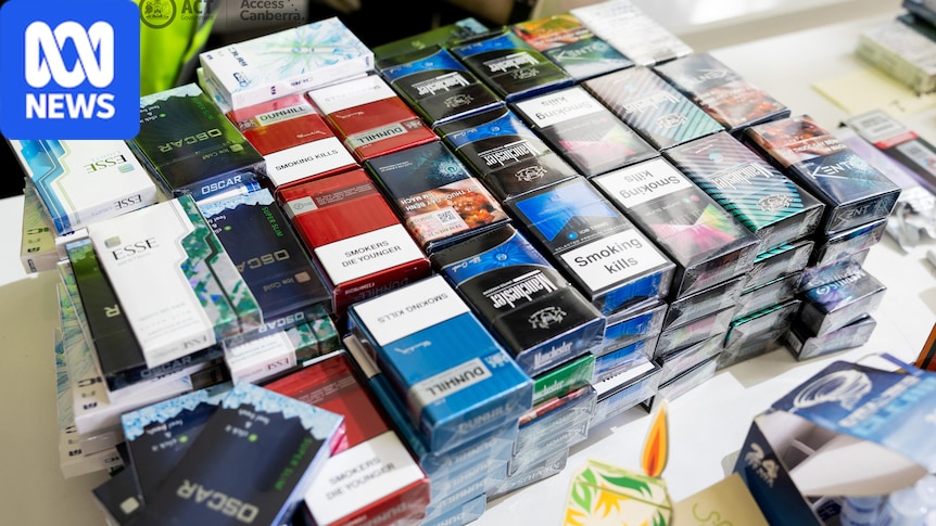 New laws aim to make black market tobacco easier to prosecute 1 607090c6181c1df50bc61bb946e61e7ad623b26d7b1374ef768d09c998411246