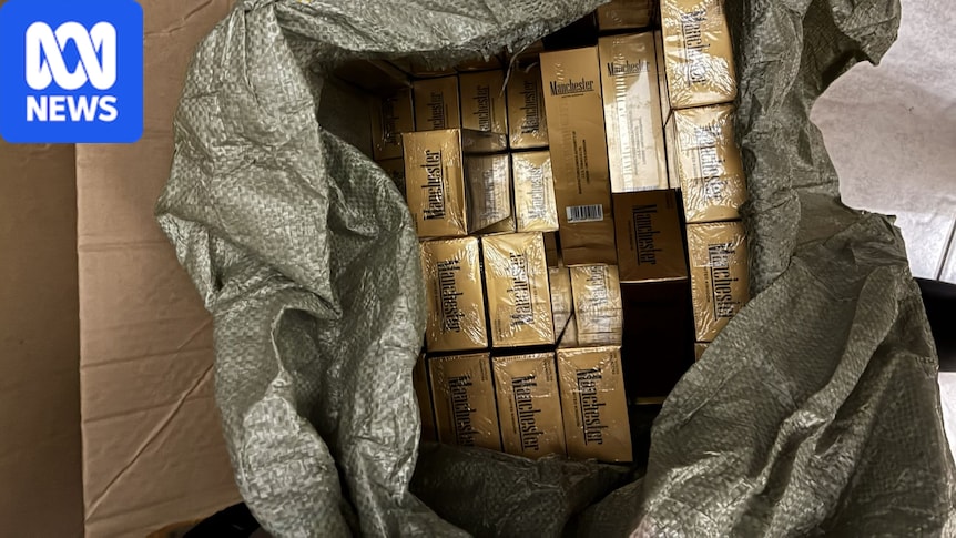 Border Force seizes 1.7m cigarettes, thousands of vapes in WA, NT raids 1 619afc1e97a5e6754df5ad5c3981db1b0f548674391d88464c608c7437f77621