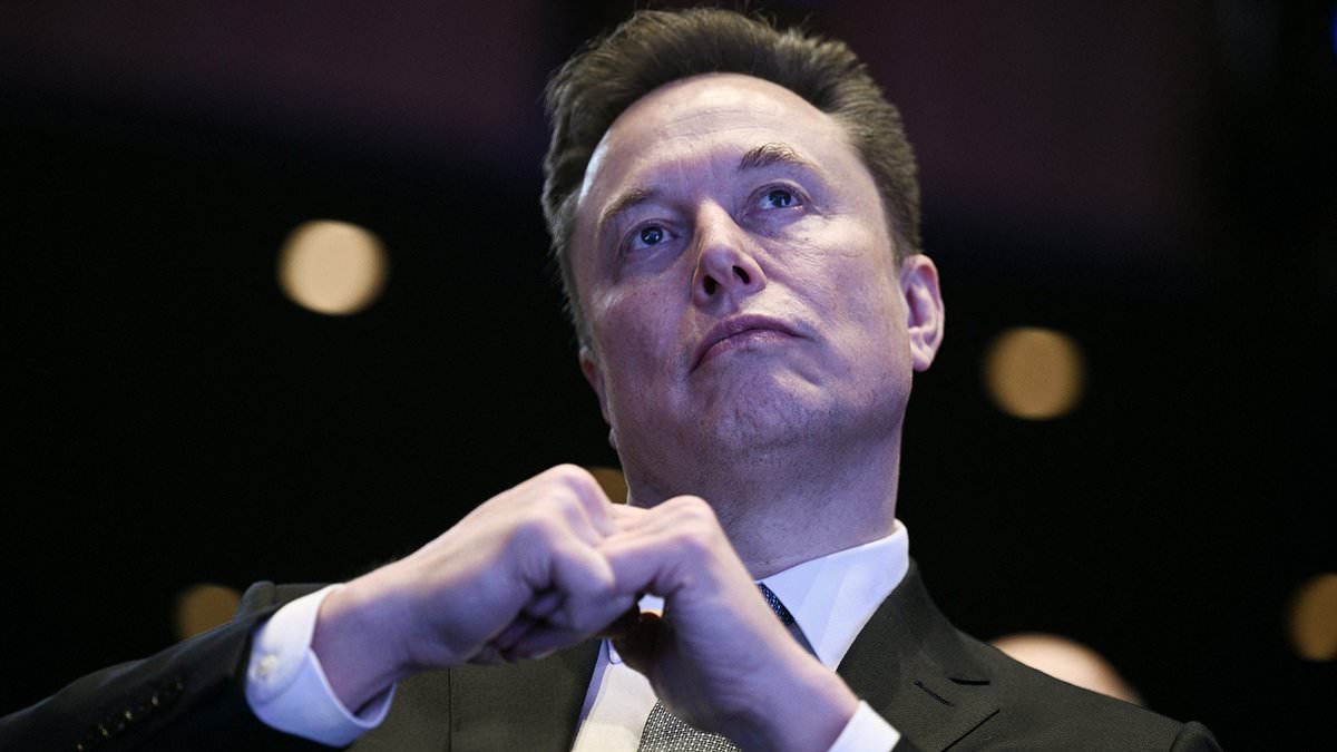 'He's crazy and he's very powerful': Why Elon Musk - the richest man in the world - could also be the most dangerous... as former partners and friends tell ALISON BOSHOFF what he's really like... and his world domination plans 1 6380522256b7d8256d363178a72b0b4090a1f93dcec3cfae43f313a3fd2fed23