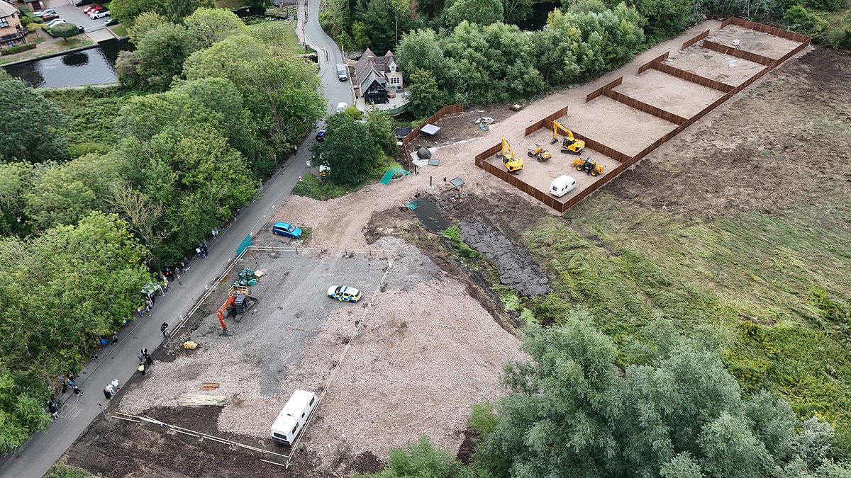 The town that took on travellers and won: How, in the face of goading, security fences and intimidation, the defiant town of Sawbridgeworth spent 72 nerve-wracking hours fighting to stop diggers paving over their wildlife sanctuary 1 63f4c78ef01bdab12dbeb47d8674ea143eefa3882065376bb0ddac0d8b39293d