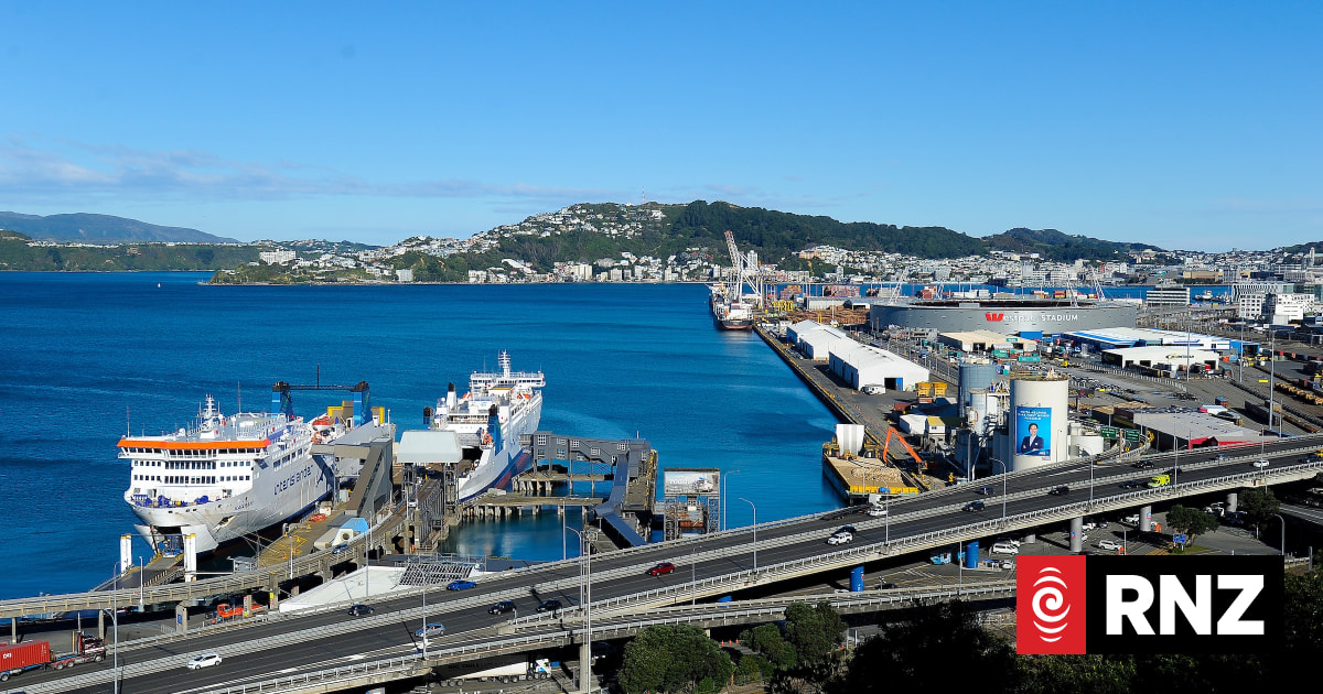 Maritime NZ launches investigation after worker dies at Wellington port 1 65c86469bc7a4e5e8af2b673b651347a306c567e762ad3eb617213546a0abb76