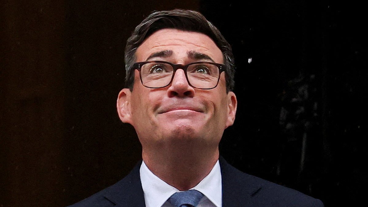 Burnham's proud to be a tax and spend socialist - at a time when there's nothing left to tax or spend: DAN HODGES 1 6b0bd66dd7ec52241ac90f29d7d4b3b5bb28870d749371feaa23e39d6f661fec