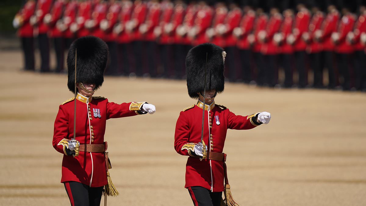MPs call for iconic bearskin caps of Buckingham Palace guards to be replaced by fake fur to 'meet today's ethical standards' 1 6e730980ec12a97bcc37ca6f6ecfefe86e81e890b459611d659d3135b6947fd8