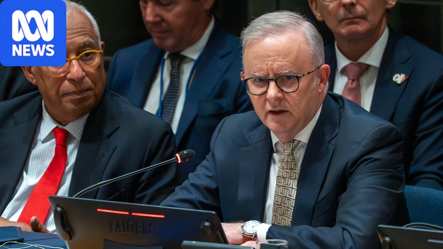 Live: Albanese to urge world leaders to band together on AI 1 70016389916ee2bbf65f3cde53ab649864aaff3100ca3b7ad71627ccaca453e2