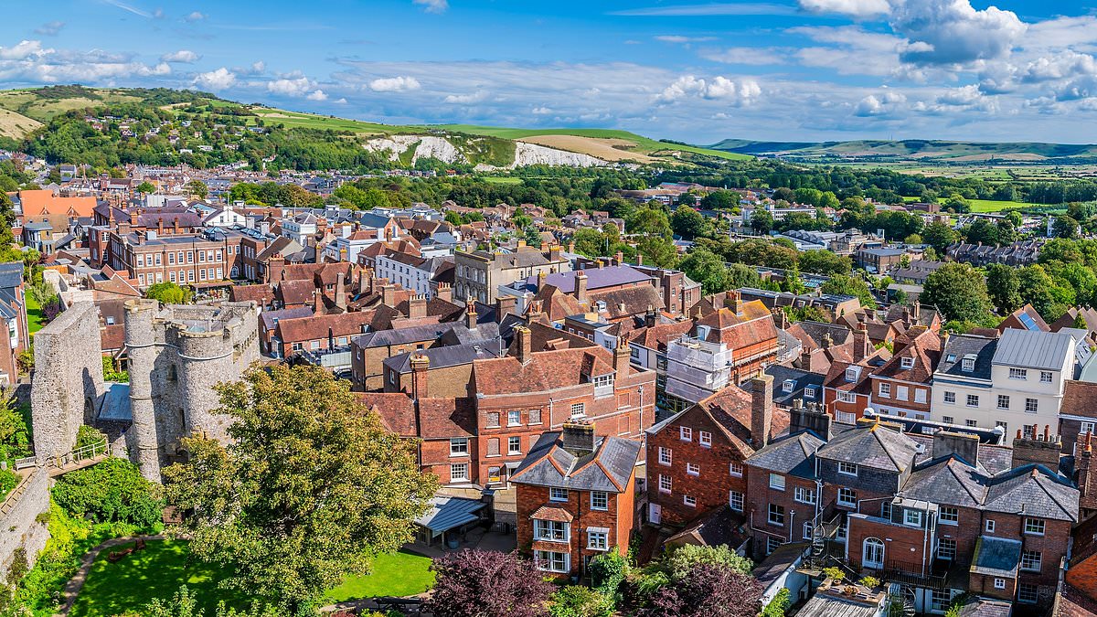 Town becomes first in Britain to give trees rights as it says plants should be able to 'flourish' 1 736ae8edf21b8fad30fd1067ddb2100795cb2315865e6aaaf3cae3f7a52c1a4b