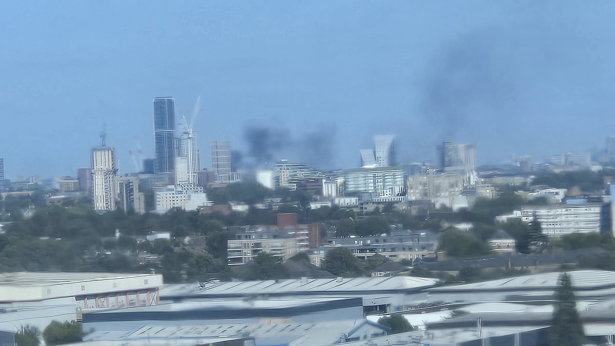Fire near London's Paddington station is causing chaos: Trains to and from Heathrow Airport are among services cancelled and delayed 1 77174be803340a6cf147fc19d548955f551f0cb80699235cd80080e4aa372ac2