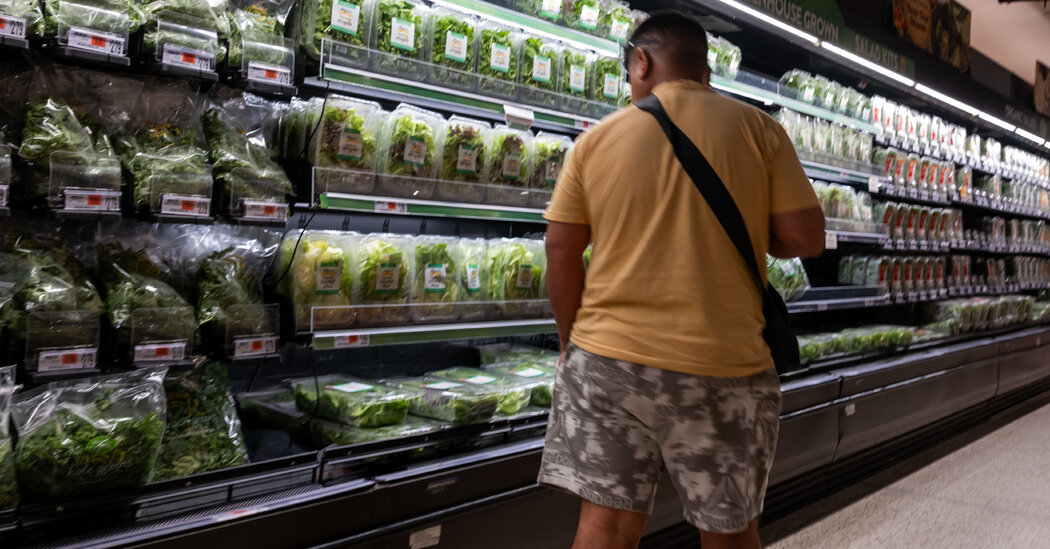 U.S. Officials Expected to Announce Cyclospora Outbreak Is Over 1 78202efc4a030f7124671d77010774497fc02bd619c7c78d382fbdfd7aefba06