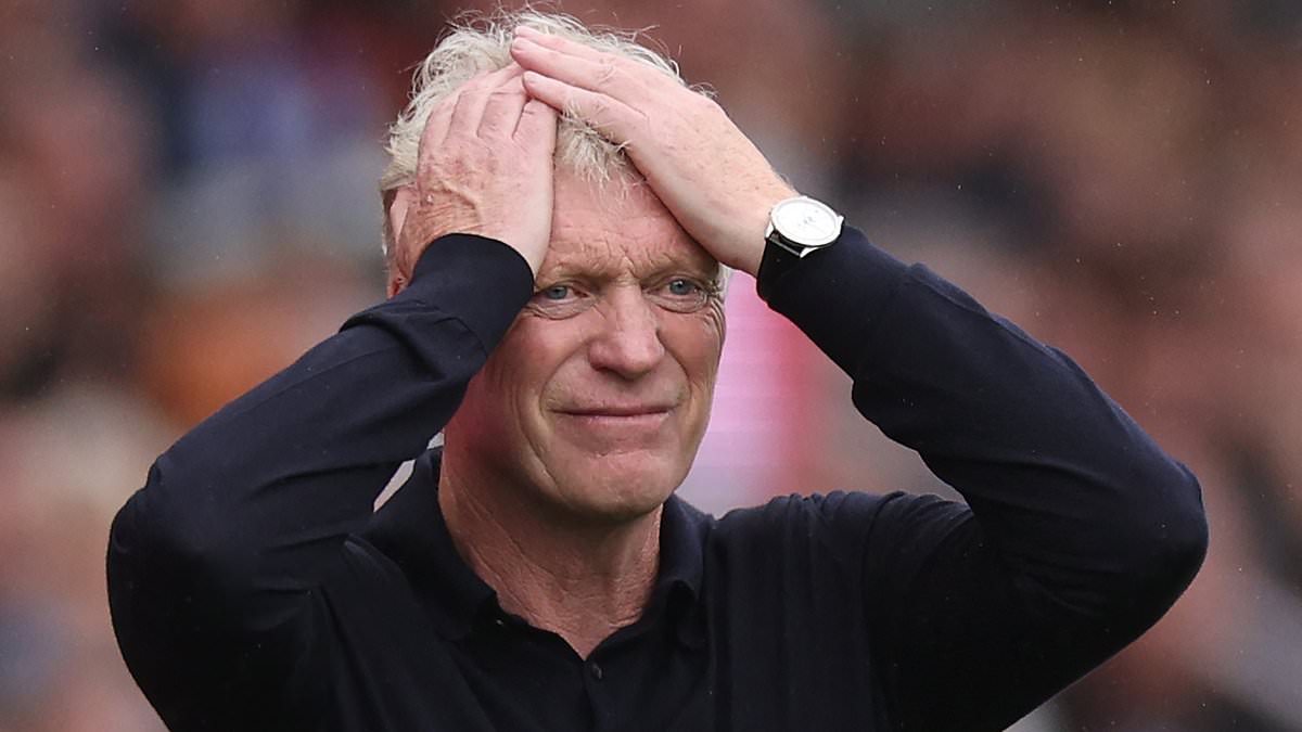 David Moyes reveals he hasn't spoken to Everton's new owners since disastrous deadline day 1 79cf5bbf3318a8bbdddfa833d4e73c337073fb90b0694bd401d157e0260a85a4