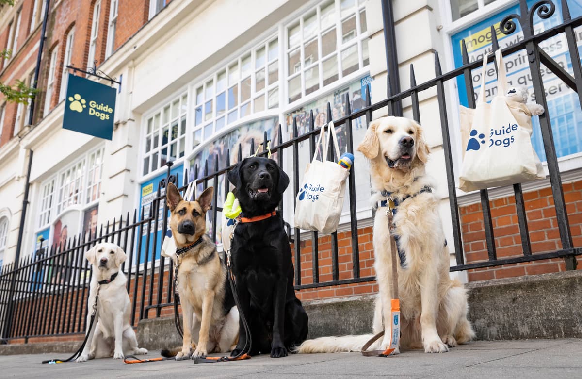 London's worst areas for dog noise complaints revealed - and one of them is Barking 1 831d9f6fc594e3bf767f596d177746bc35166bb756db22bf1abecddfc8611b3a