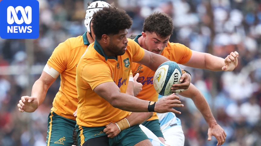 Live: Wallabies chase history against Pumas in Argentina 1 87e8b05b48951f3c005b7529731520a8281688b4d73fb479e5340b1a72ceacd3
