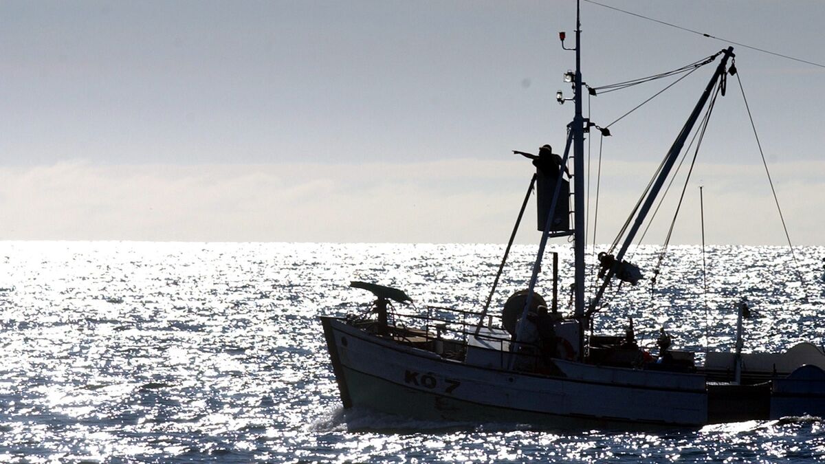 US threatens tariffs on Iceland over whaling, report says 1 890226b5990980b5127a4d884ab3db6485acf1cf308b35bd752b80c00bd7cccb