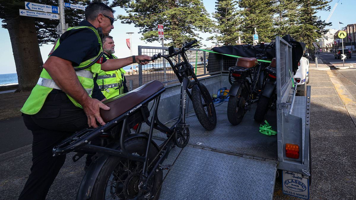 Police e-bike act divides Aussies as fierce debate erupts over crackdown: 'Go catch some real criminals' 1 8a39c31f7aa14dfd9df44c76fba47881091747991d0f834f64ba865f2f900e75