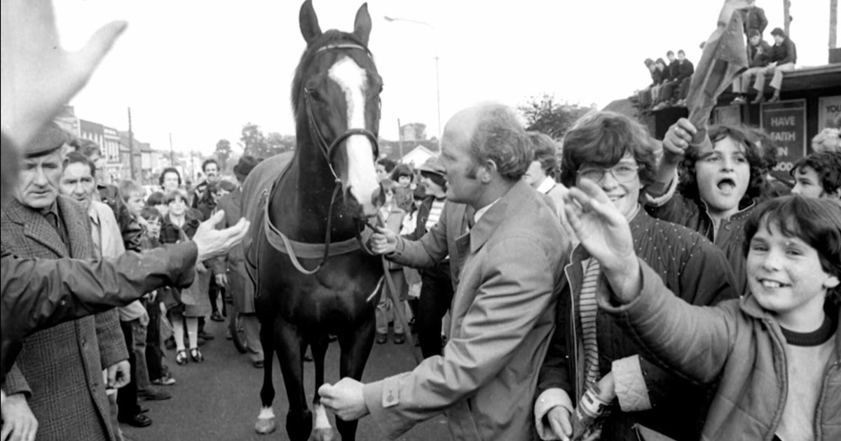 Whodunnit? The 40-year mystery that shocked horse racing 1 8b2b6985077e0e57f8564e782aca4b5637ed1ec059043635bcdff0ecba037cd7