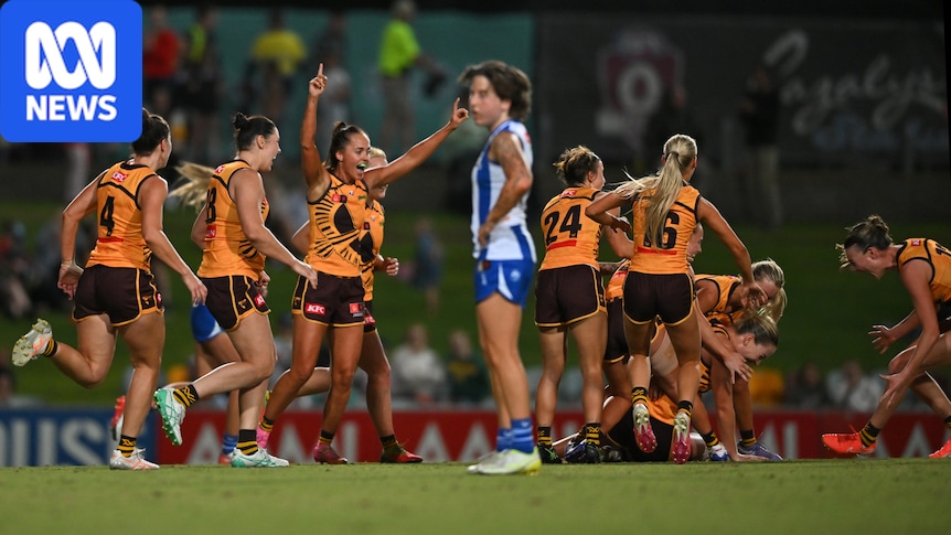 North's record winning streak over after shock loss to Hawks 1 8fed0243a7d9bdb50c18cc53ddd9e434de5af92819e9e3b6b84db54ce3ff8c04