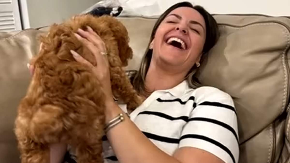 Devastated Miami mom about to start chemotherapy checked her dog into a pet sitter SEVEN months ago - and claims they now won't return her beloved pooch 1 9065580340a5252186922d68ca346583a9f3a3559cc3e8b7bc13f7084f34b99d