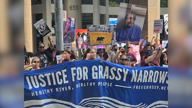 ‘We shouldn't have to beg,’ says chief of First Nation facing decades of mercury poisoning in Ontario 1 933445e2b6c9c0eef8ed67f1c12547bd3e42919bedc6e27055fed9e1557684a3