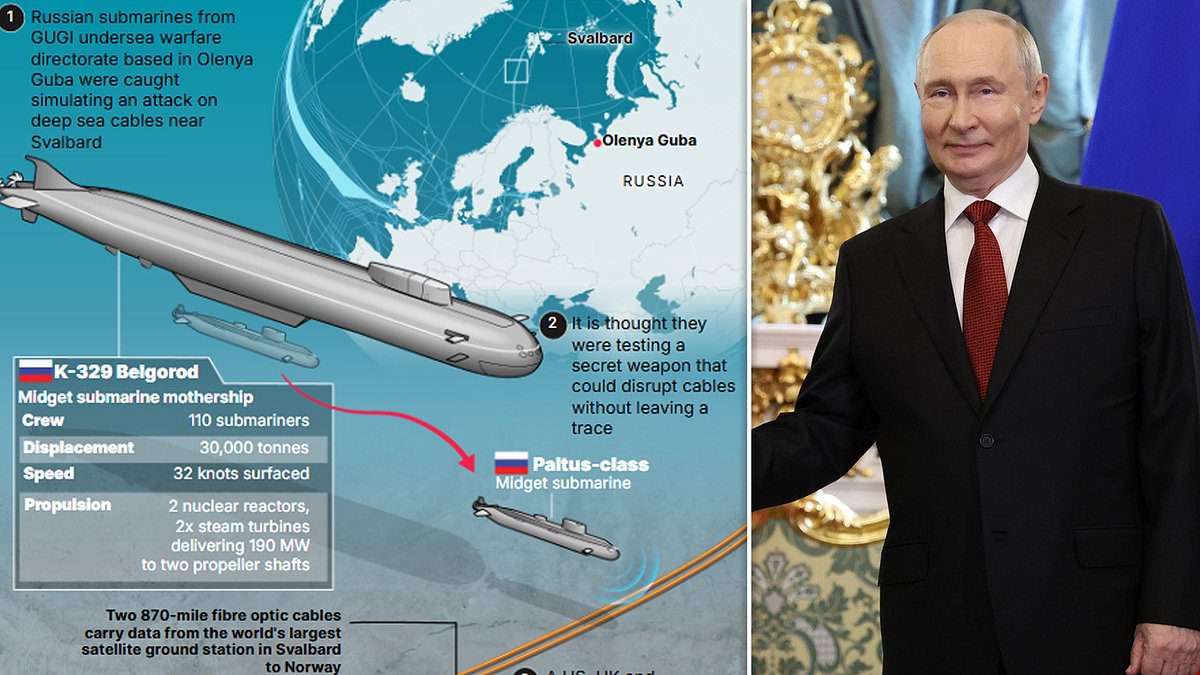 Putin's undersea threat to Britain: UK is 'woefully' short of ways to stop cable attacks that could spark chaos, experts warn after Moscow's 'secret weapon' sabotage plot is foiled 1 94ef5ba917b9b18f4c93679264a7a26612114b9d2bfdc3a52b9cbcb880c11c68