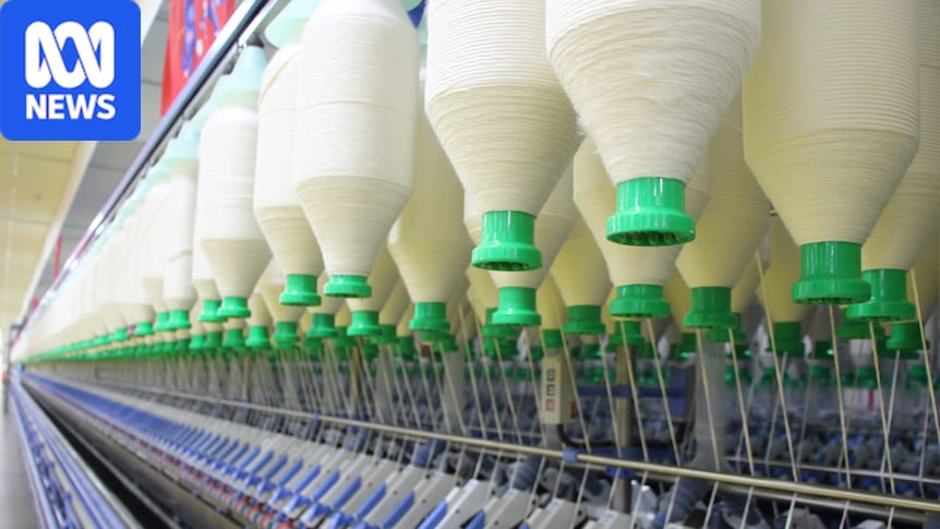 Spinning mill blueprint could provide path to manufacturing revival 1 95f12e53d298a5294a92657bd3603bdf98757869d27c158c67071039b37e8ce5
