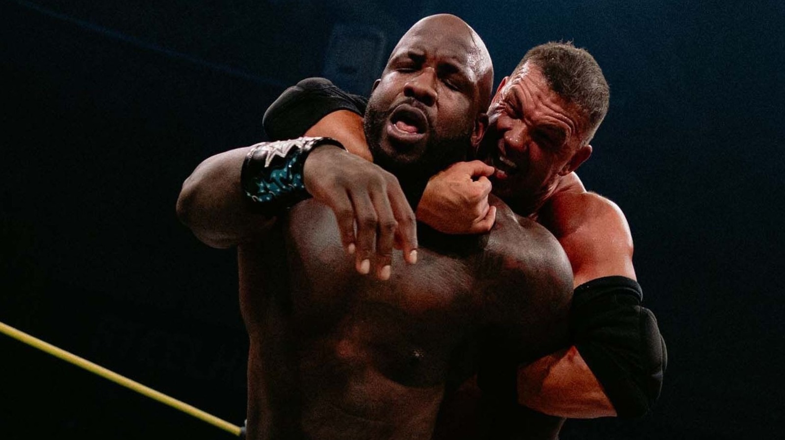TNA Impact Viewership & Ratings Report: 9/17/2026 1 9ac386c480e561600b7d91cdb4534bbfe84ee9f64b8f019c26dd35c8e56db426