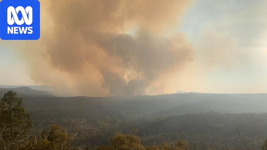Qld bushfire caused by permitted burn jumping containment lines, authorities say 1 9d3860c9e40af943f4ff8476576dff6a8fe79d94cf491b78394e398348144ab3