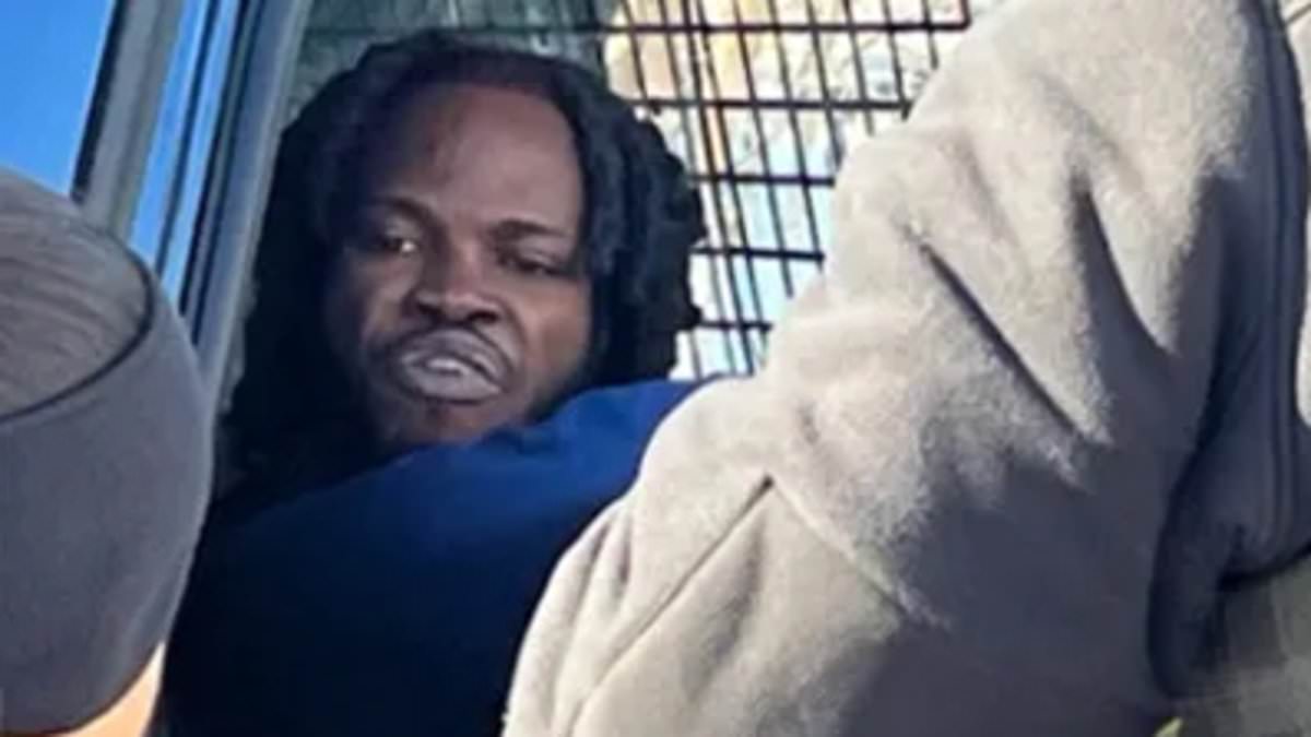 Illegal immigrant filmed screaming 'f**k Trump, Biden forever' during arrest is deported back to his native Haiti 1 9ec8baf458c7ae562ce257771e9dc798cba8df4cfc5e04e1941218526e0853ff