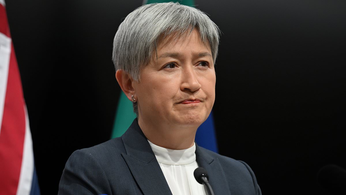 Penny Wong gets a surprise pay bump after little-noticed rule change hands her Anthony Albanese's salary for four days 1 a0c5cc2a5b63fa3986c8bd987dc5db674f90ac2163ab98d0040280e7d52880ea