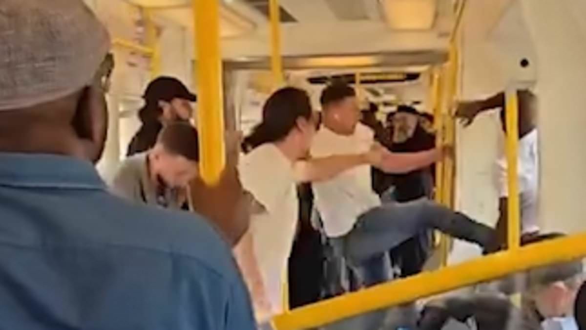 Police drop year-long case against three Tube passengers who tackled naked man after he dropped his trousers in front of children in packed carriage 1 a12d8b40ed5bc0c5a7a8ed4437bfc0e236dcafe53aef987c7ed3144e61539475
