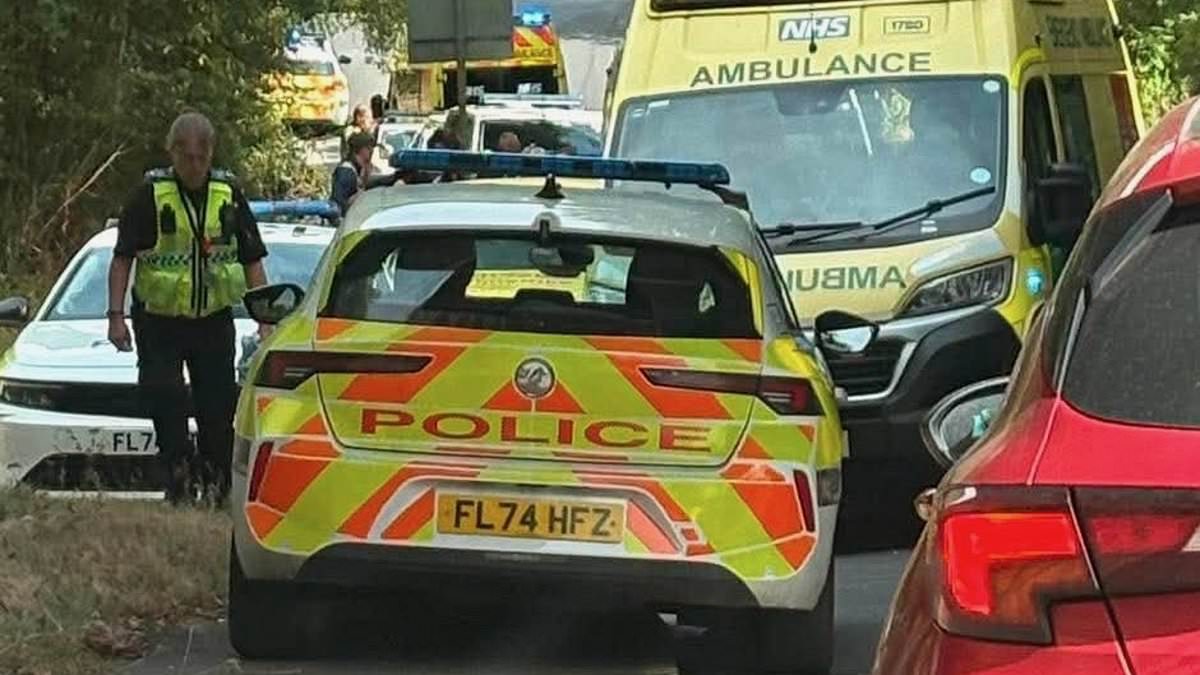 Man, 55, died from complications of a leg wound after 'being bitten by Alsatian-cross in row over right of way', inquest hears 1 ab15d75e4446a0da87e452f6f76efc83a7e00466dc58cf67f76fd8d79d608874