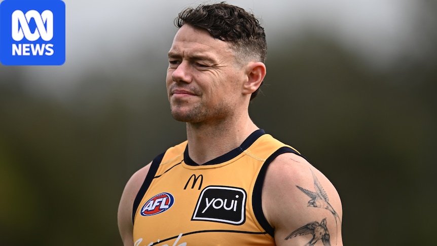Why the AFL tribunal upheld Neale's grand final ban 1 ad56a58a500a4d2a2ddbc7e39f7316c3bf1790f5f26d996efb9c5484fac3df46 1