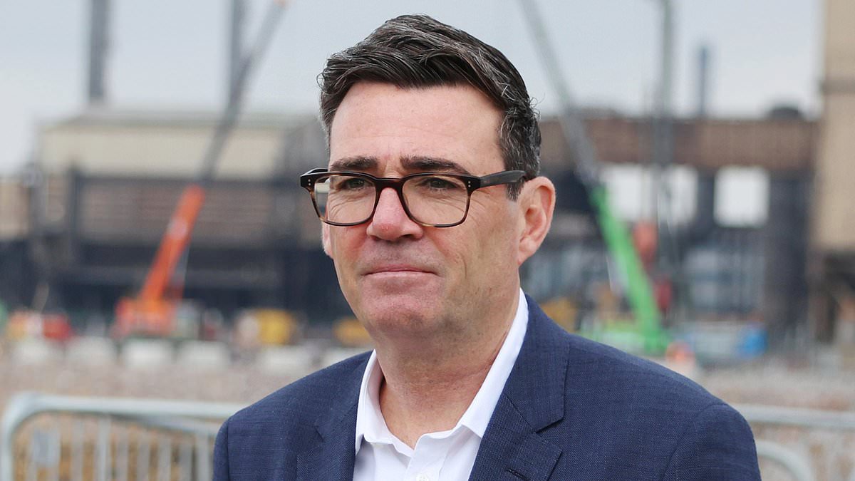 Nearly 70 per cent of Britons think high-earners already pay their fair share in blow to Burnham's tax-the-rich agenda 1 b140a6317f58b0ba53c85d9860a35e62b010e947f568a6b58afc2a379a6c2cce