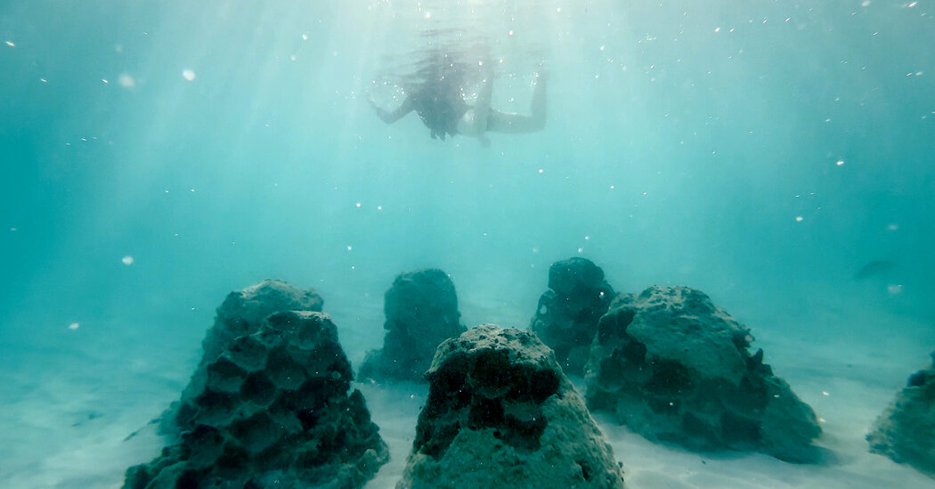 Rising Seas Are Gobbling Up Beaches Around the World. A.I. Might Restore Them. 1 b22bf95fbe9751d78a04a3b3922d0c1ae2b2975436d04e5463b6cf0c87630a1f