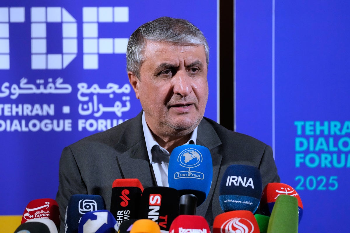 Iran's nuclear chief not expected to attend IAEA General Conference, official says 1 b2734613bbc4eddcdbaa3ffe62e480ea939c86d019d0e8c34565ebd1415e36ee