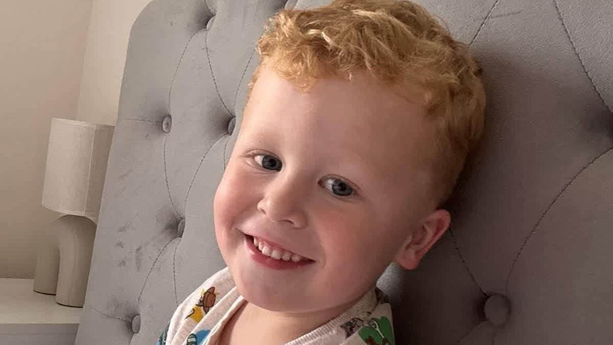 'I can't go another night knowing he's out there alone': Father of missing non-verbal, partially deaf Noah, 3, pleads for public's help to find him as search enters second day after he vanished from park 1 b823c7ac36fae4fba4eae77865d92a040a8fa8493b35d17133c6189015da988c