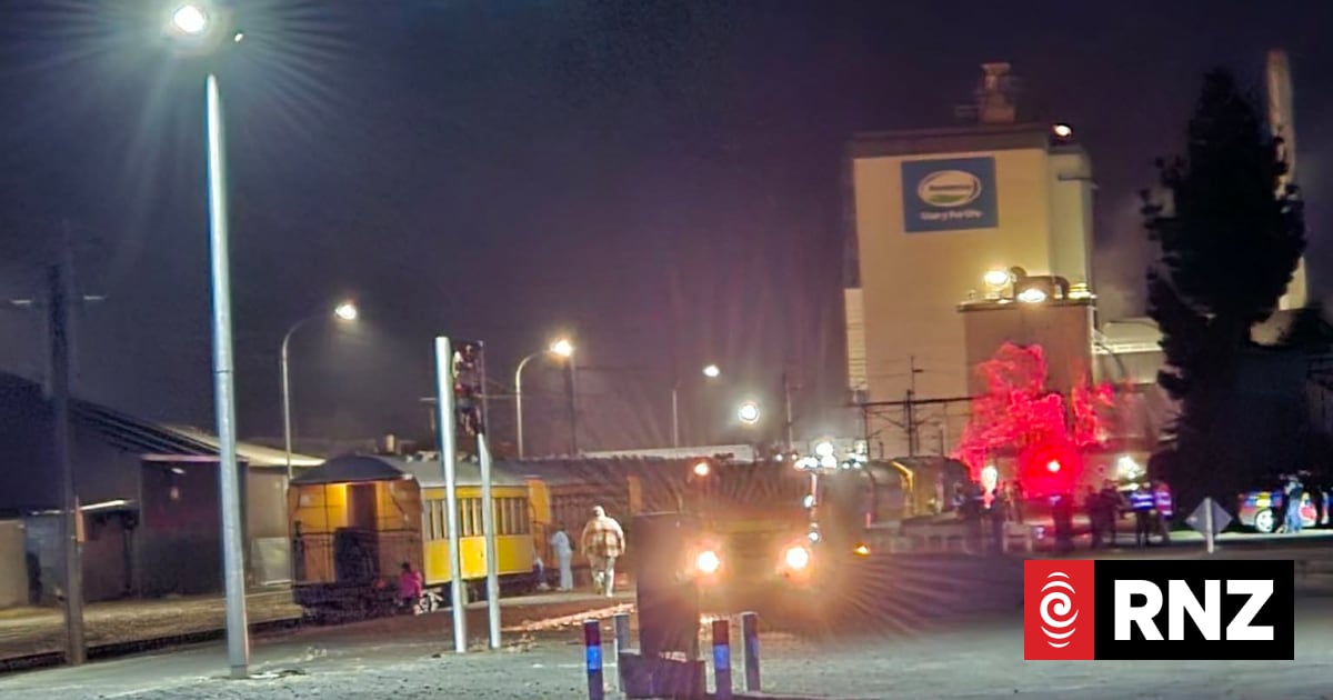 Victim of Te Awamutu train incident was a young person 1 b94554190b6a46ac8b6ecc6556e33ad910d4a99a8f9f5576a1e07c3b620314c7